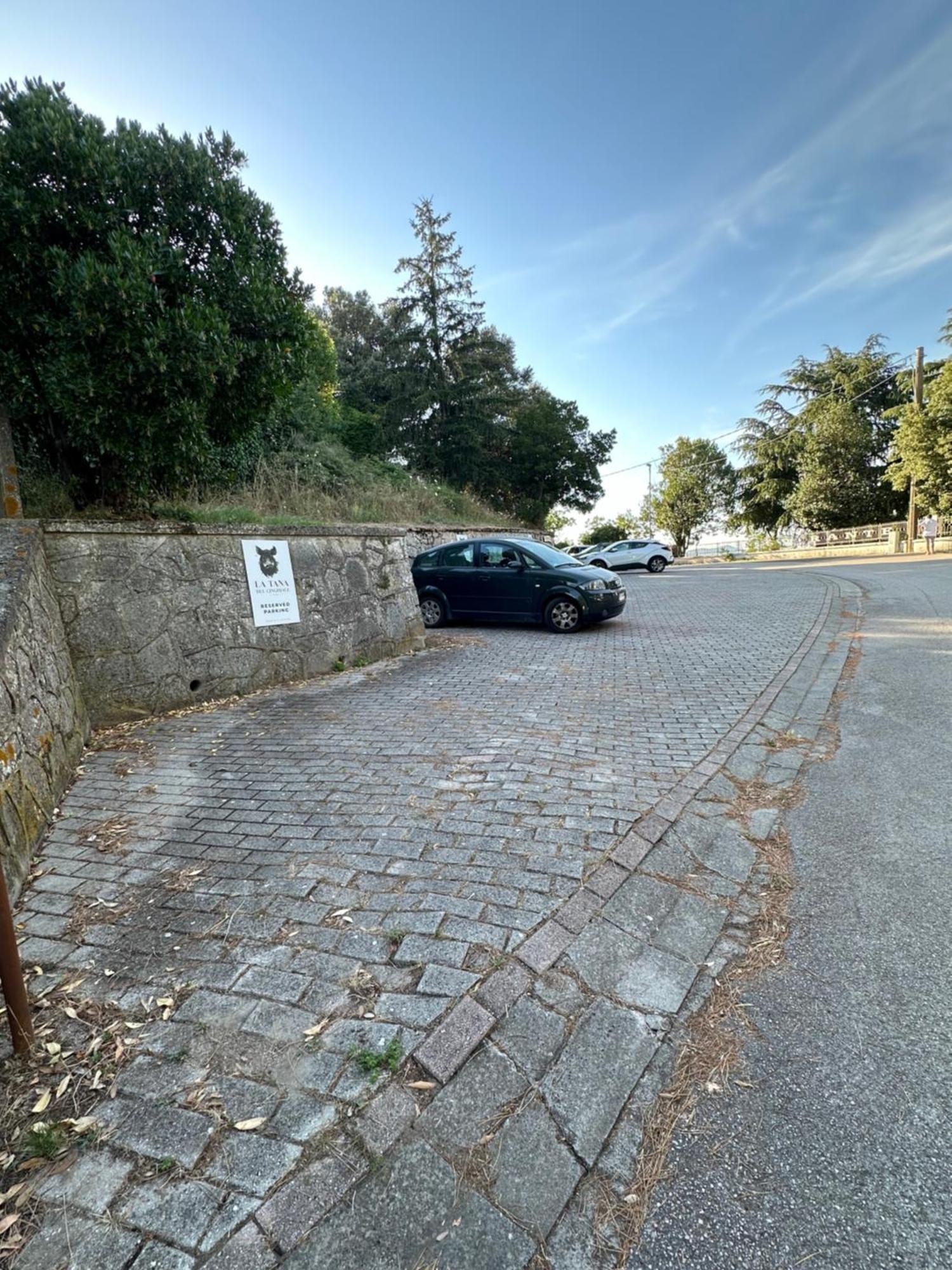 Tana Del Cinghiale Tirli