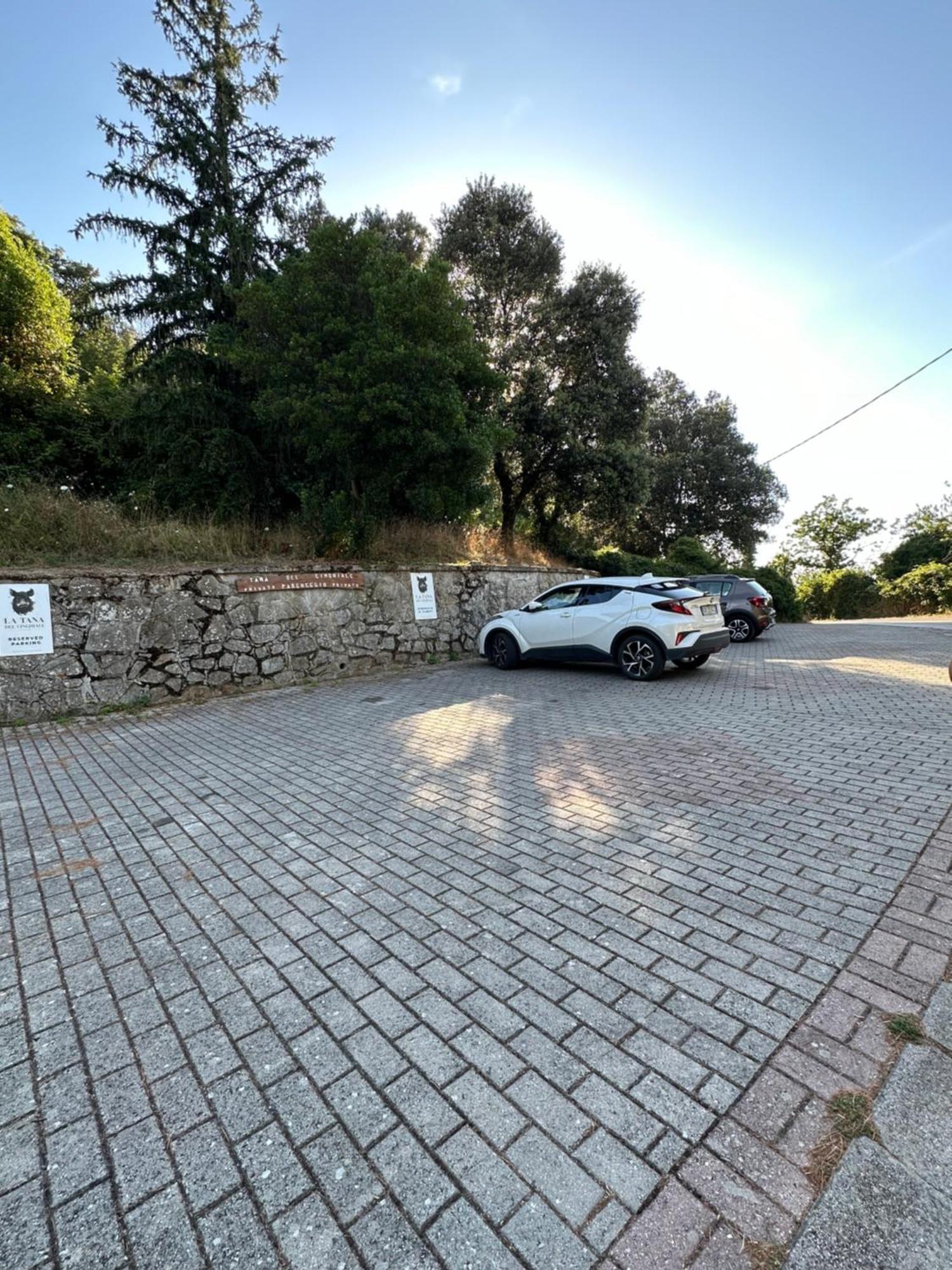 Tana Del Cinghiale Tirli