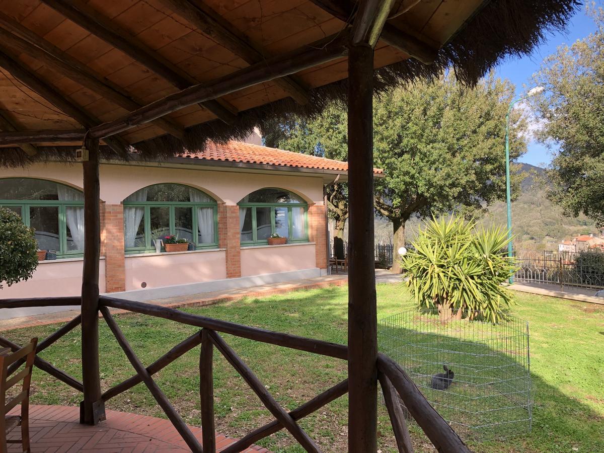Tana Del Cinghiale 2* Tirli