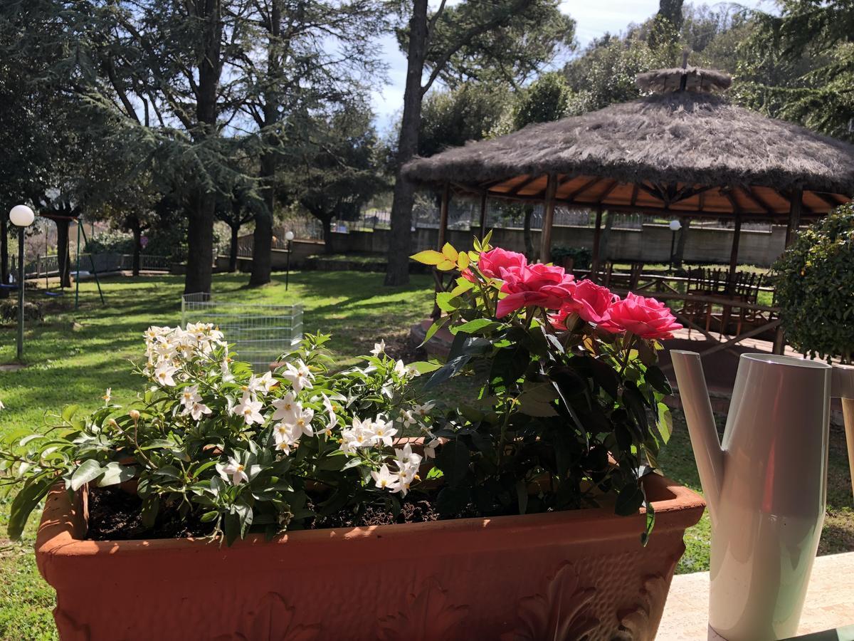 Hotel Tana Del Cinghiale
